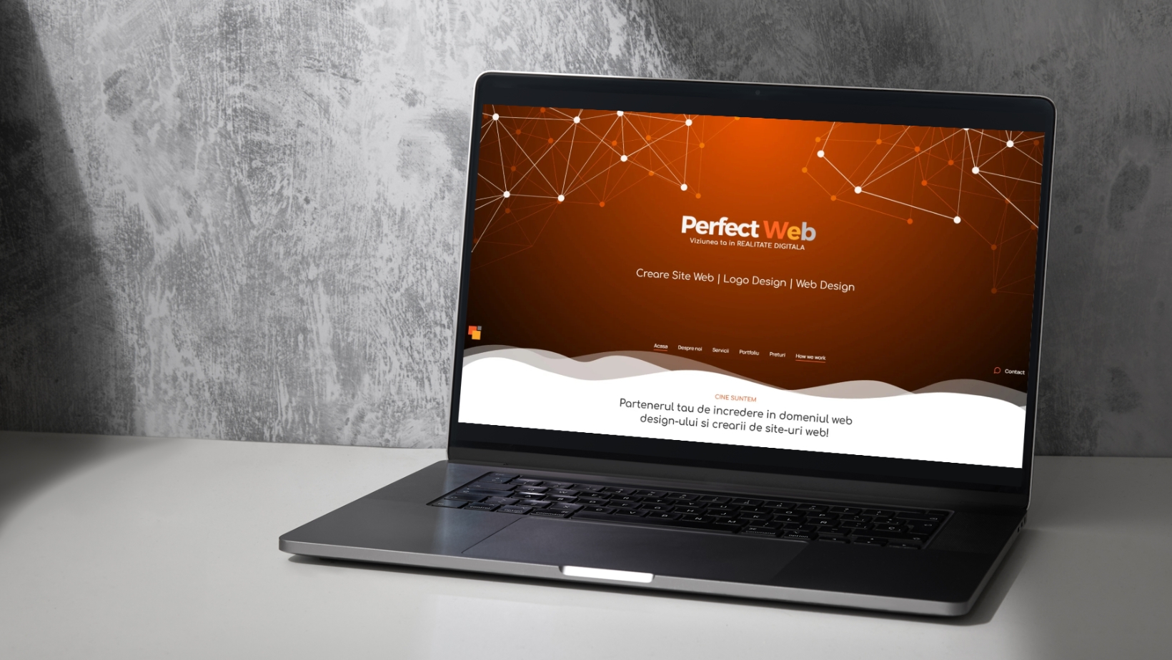 Site prezentare Perfect Web
